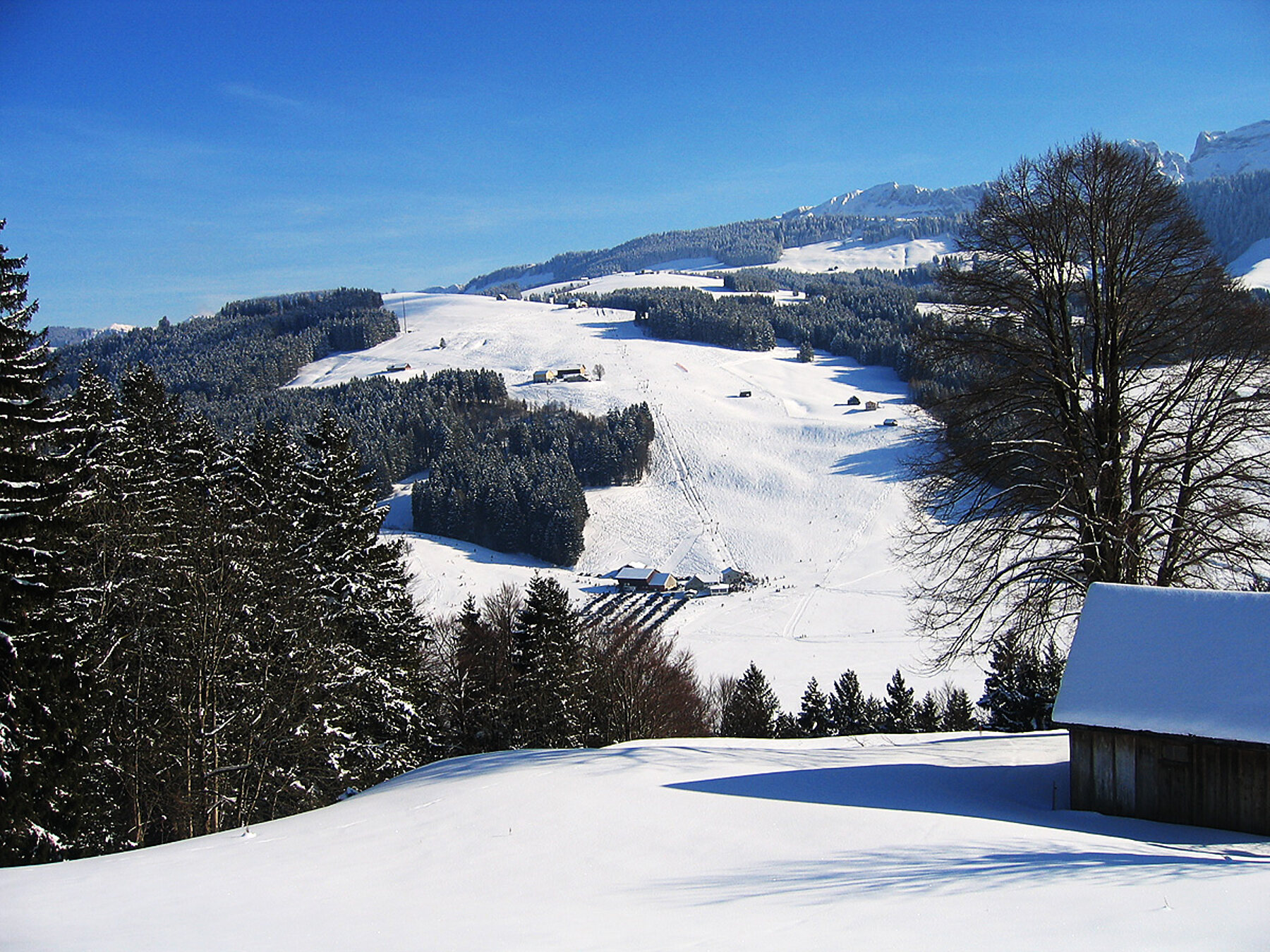 Alpsteinblick